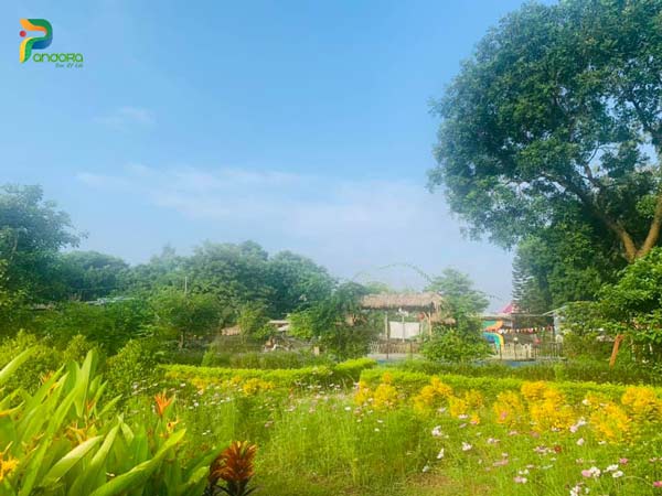 Cong-vien-trai-nghiem-pandora-2